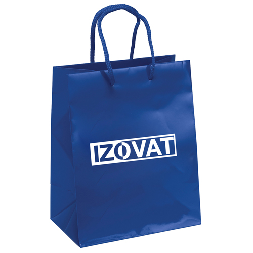 Promotional Customizable Paper Bags