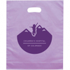 Frosted Handle Custom Plastic Bags - 12"w x 15"h x 3"d