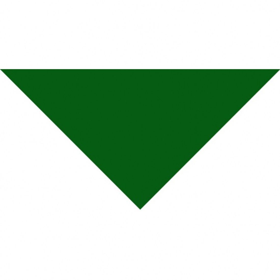 Custom Large Triangle Bandana