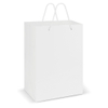 Large Laminated Carry Bags