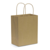 Medium Paper Carry Bags