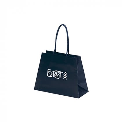 Promotional Everest Matte Laminated Bag