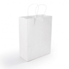 Express Medium Paper Bags